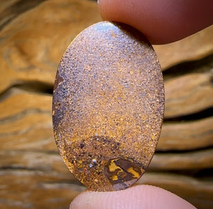 🔨 AUCTION 🔨 No Reserve 20.3cts - Yowah Nut Kernel Opal. Australian Boulder Opal