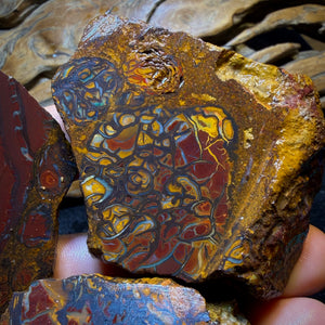 Wild Card! 1789cts - 6x Yowah Nut Tribal Opal Rough Parcel. Australian Boulder Opal