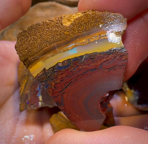 193.1g - 7x Koroit Nut Rough Opal Parcel - Opal Whisperers
