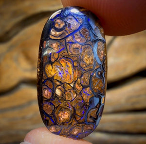 6.7cts - Tribal Yowah Nut Opal. Australian Opal