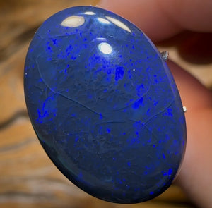 Auction Fall-Through = Your Gain! 🔥 Now More Than 50% Off RRP 🚨 “Dakota Nightfall Blue” 13.8cts - Big Black Opal from Lightning Ridge