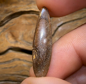 9.2cts - “Malibu” Koroit Nut Australian Boulder Opal - Opal Whisperers