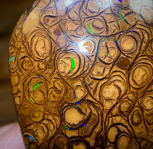 30.4cts - Australian Boulder Opal. Tribal - Opal Whisperers