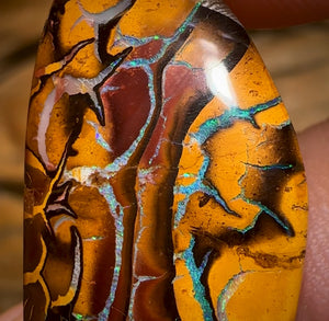 16.1cts - Top Tan Tribal Queensland Boulder Opal Art of Opal Worthy…I Love It