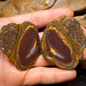 428cts - RARE Yowah Nut Partial Crystal Centre Rough Specimen Pair
