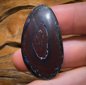 45.2cts - Tribal Queensland Boulder Opal from Koroit