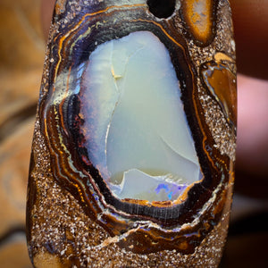 🔨 AUCTION 🔨 No Reserve 28 x 17mm - Kernel Drilled Queensland Boulder Opal Kernel Necklace