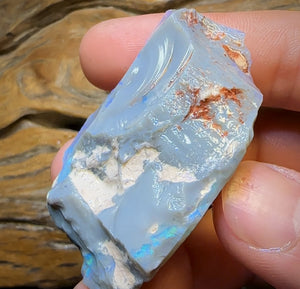 186.8cts - Large Lightning Ridge Opal Rough Piece. GEM Cutter!