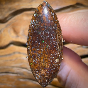 17.1cts - Australian Boulder Opal. Yowah Tribal - Opal Whisperers