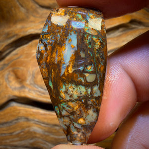 44.1cts - Vegetation Fossil Replacement Boulder Opal Rub