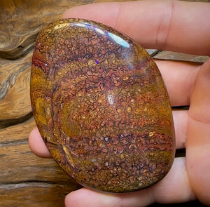 546.6cts - Huge Polished Tribal Yowah Nut Opal Specimen - Opal Whisperers