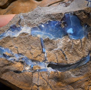 691g - Large Queensland Boulder Seam Opal Rough Specimen - Opal Whisperers