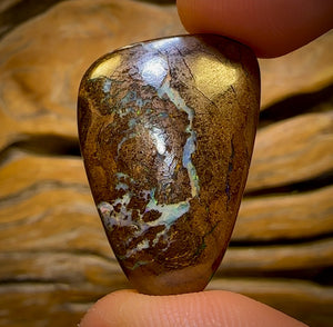 50.6cts - Queensland Boulder Opal from Yowah