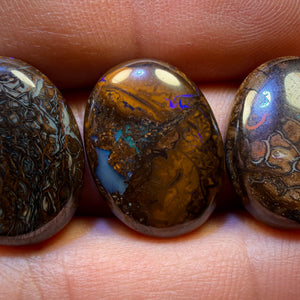 54.2cts - 3x Australian Tribal Boulder Opal’s. Wholesale Parcel