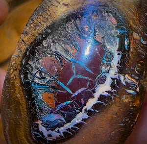 401.5cts - Yowah Nut Tribal Kernel Opal Specimen Pair