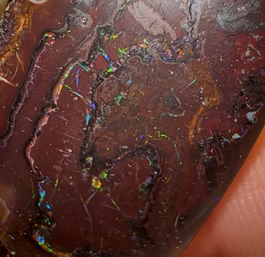 41.5cts - Queensland Boulder Opal from Koroit - Opal Whisperers