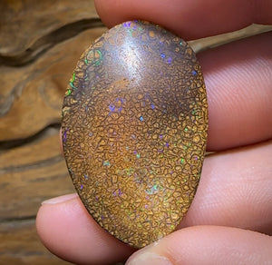 50.5cts - Yowah Nut Tribal. Australian Boulder Opal - Opal Whisperers