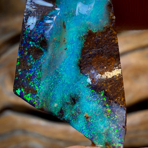 Dad Card! 44.6cts - Queensland Boulder Seam Opal Rough Rub