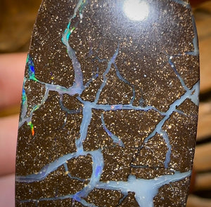 173.4cts - Australian Boulder Opal Set. Winton Seam Opal. Double Sided - Opal Whisperers