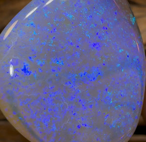 61.2cts - HUGE GEM Lightning Ridge Crystal Opal. Heritage Collection - Opal Whisperers