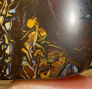 122.5cts - Yowah Top Tribal Australian Boulder Opal - Opal Whisperers