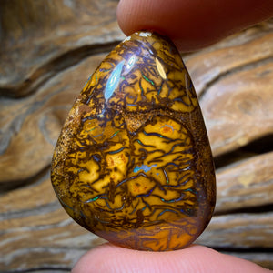46.1cts - Tribal Queensland Boulder Opal. Australian Opal