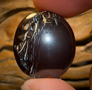 42.5cts - Queensland Boulder Opal from Koroit