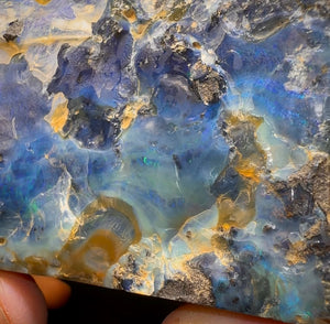 906g - Large Queensland Boulder Opal Rough Specimen from Winton - Opal Whisperers