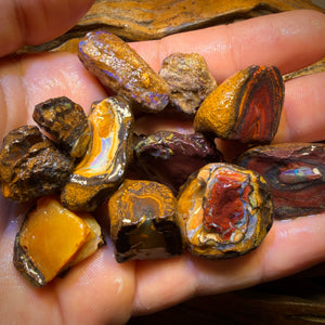 465cts - 11x Yowah Nut Rough Opal Parcel. Australian Boulder Opal