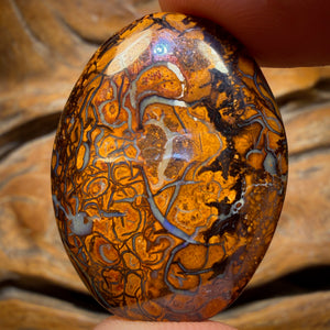 47.2cts - Tribal Yowah Nut Opal. Double Sided