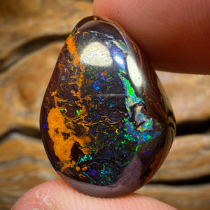 47.7cts - Multicolour Tribal Queensland Boulder Opal