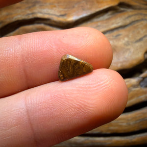 1.7cts - Queensland Boulder Seam Opal from Winton