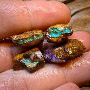 48.2cts - 3x Opalised Fossil Rough Parcel from Yowah