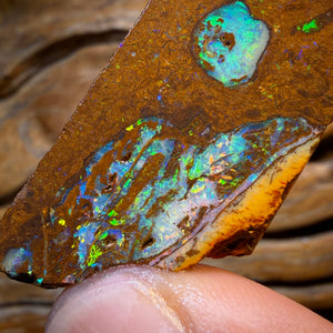 HDW 48.8cts - Yowah Nut Opal Rub. Metallic Colours!