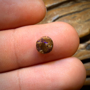 0.6cts - Isaac’s Pick Rainbow Wave Australian Boulder Opal from Yowah