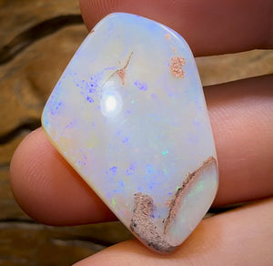 29.3cts - GEM Solid Australian Boulder Pipe Crystal Opal - Opal Whisperers
