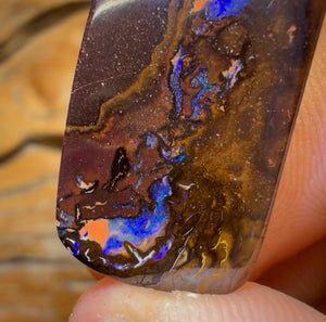 45.8cts - Queensland Boulder Opal from Koroit