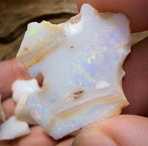 (Template) 98.3cts - 7x South Australian White Opal Rough Pieces - Opal Whisperers