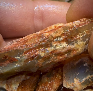 128.2cts - 6x Opalised Fossil Geological Specimens from Lightning Ridge