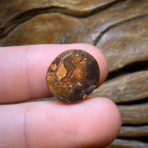 TGIF 11.2cts - Cool Tribal Yowah Nut Opal. Australian Opal
