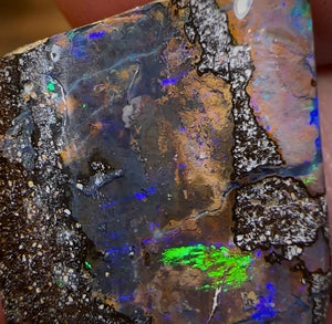 21.1cts - Queensland Boulder Seam Opal - Opal Whisperers
