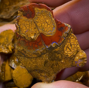 261.1g - 27x Yowah Nut Rough Opal Parcel. Queensland Boulder Opal 30c/ct Bargain - Opal Whisperers