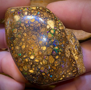 322.1cts - Rare Polished Tribal Yowah Nut Opal Geological Specimen with Gypsum