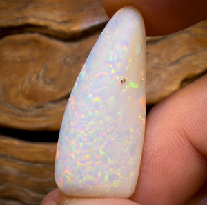 26.9cts - Olympic, South Australian White Opal