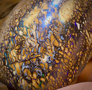 574.5cts - Large Tan Tribal Queensland Boulder Opal. Polished Specimen