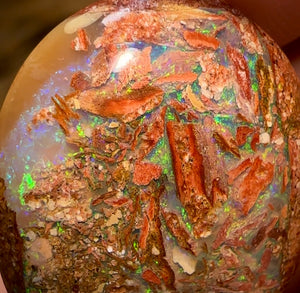 34.9cts - 3x Finished Queensland Boulder Pipe Opals. Wholesale Dealers Parcel