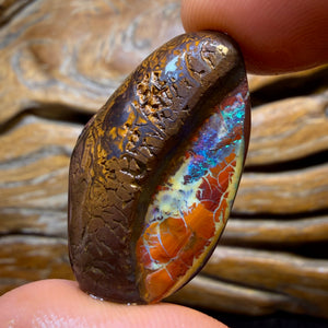 TGIF 482.9cts - 5x Yowah Nut Opal Rough Parcel. Australian Boulder Opal