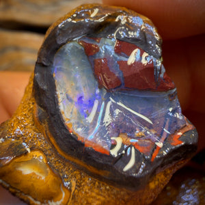 🔨 AUCTION 🔨 154.7cts - 3x Yowah Nut Rough Opal Parcel. Fossil and Kernel!
