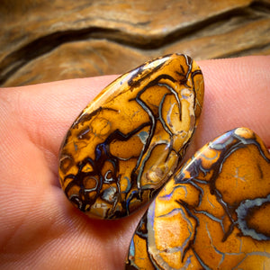 Get TWO FREE Card!113.6cts - Yowah Nut Tribal Family Parcel. Australian Opal