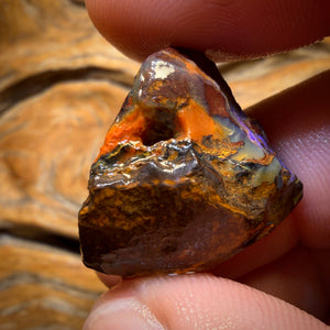 Bargain Rough! 49.9cts - Tribal Yowah Nut Opal Rough Piece